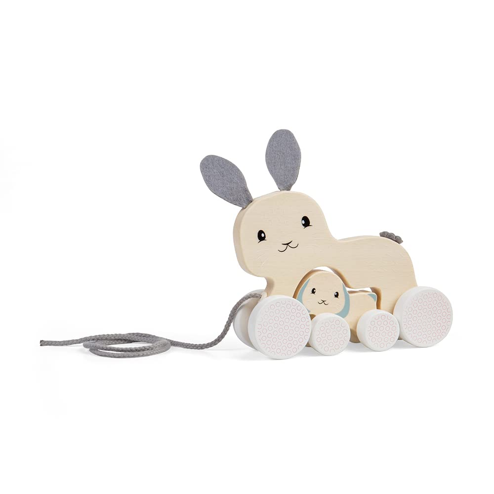 BUGるBEAR & BUNNY painternet 2体セット Amazon.com: Bigjigs Toys FSC® Certified Bunny & Baby Pull Along